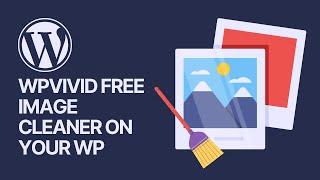 How To Use WPvivid Free Image Cleaner on Your WordPress Website? 