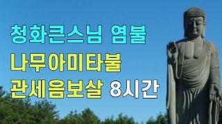 나무아미타불 관세음보살 8시간 청화큰스님 염불 천도법문기도 / 청화큰스님앱 가장 행복한 공부 청화스님 염불수행