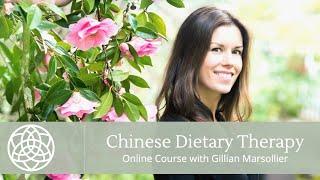 Chinese Dietary Therapy | Online Course with Gillian Marsollier