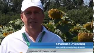 27.07.2017 - Краевой "День поля"