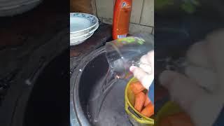 Нигора