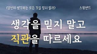 [자막] 직관을 따르면 어떤 일이 벌어질까요? / 당신이 생각하는 모든 것을 믿지 말라