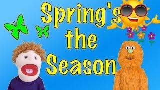 CHILDREN'S SPRING SONG | LEARN ABOUT SPRING | Mr Eddy Spaghetti - Spring's the Season