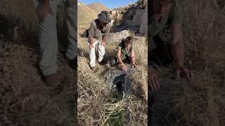 Exploring the megalithic t-pillars at Cavustepe with archaeologist Hans Oreheim. 