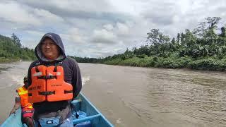 Serunya menyusuri Kali Kopi Hutan adat Nayaro Papua..