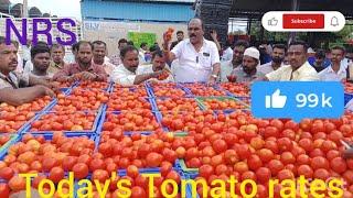 Today's Tomato rates at NRS Mandi, Vaddahalli Market, Mulbagal 19 October 24 