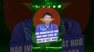 Báo Indonesia bất ngờ trước danh sách triệu tập của ĐT Việt Nam - Tin bóng đá
