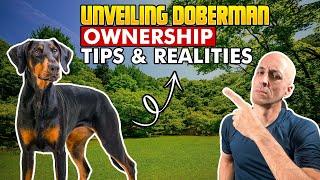 What's it like to own a Doberman: Everything You Need to Know