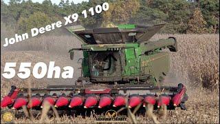 John Deere X9 1000 & 550ha Körnermais! die Fläche machen wir jetzt Platt! Mais dreschen  m.12 Reiher