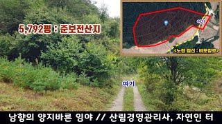 [영월임야 19,148㎡ // 8천5백만원]  평당 1만4천원, 남향의 양지바른 임야...