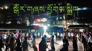 Dhasa Gorshey || Tibetan Circle Dance || #tibetanvlogger || #tibetan   || #dharamshala