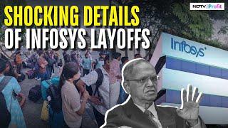 'Don't Know How, But Leave Tonight': Inside Inofsys Mysore Layoffs I Why Did Infosys Fire Freshers