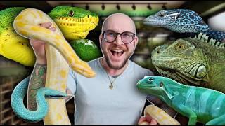 My Reptile Room Worth Over $25,000 !