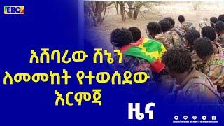 አሸባሪው ሸኔ በዜጎች ላይ እያደረሰ ያለውን ሰቆቃ ለመመከት የተወሰደው እርምጃ