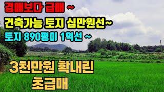 3천만원 확내린 여주 남한강 인근 2,943㎡(890평) 토지 완전 급매 체류형 쉼터. 비닐하우스. 농어업인 창고. 주택 건축