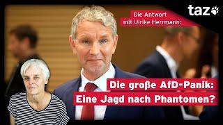 Die große AfD-Panik: Eine Jagd nach Phantomen? | Die Antwort – Leserbriefe an Ulrike Herrmann