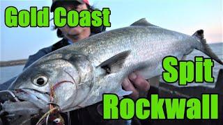 Do you fish in strong headwinds? Rocky D Fishing vol.210