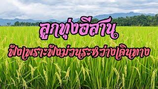 ลูกทุ่งอีสาน เพลงเพราะฟังม่วนตอนเดินทาง