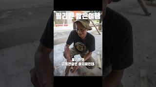 짧은 #여행 #필리핀 마지막편 #제스트캠프 #돌고래쑈 #trip #travel #pilipinas #manila #subic