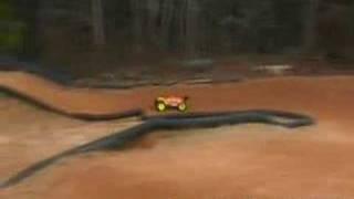 Team Losi Muggy