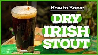 How to Brew IRISH STOUT [Guinness] 