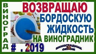  ЗАЧЕМ я возвращаю БОРДОСКУЮ жидкость на виноградник. Как работает бордоская против милдью.