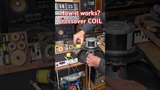 Vintage TESLA BASS SPEAKER and IRON CORE INDUCTOR COIL - CROSSOVER FILTER How it works Audio Tips