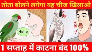तोते का काटना बंद, 1 सप्ताह में बोलने लगेगा यह चीज खिलाओ || #Totekobolnakaisesikhayen #trainparrot