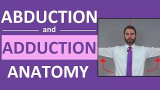 Abduction and Adduction of Wrist, Thigh, Fingers, Thumb, Arm | Anatomy Body Movement Terms