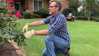 How to Select the Right Pruning Tool | Done-In-A-Weekend Projects: Cut it Out