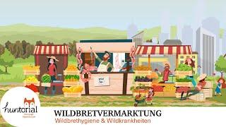 Wildbretvermarktung – alles was du für die Jägerprüfung wissen musst