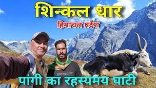 Visit In Shinkal Dhar, Pangi Valley Near Hudan Bhatori Village | A Land Of Lord Shiva | Pahadi Vlog