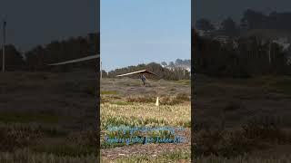 Takeo Eda  first time landed on high performance topless glider ￼