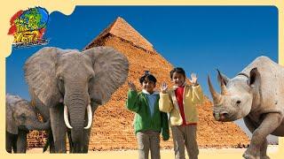 Exploring Africa !  Majestic Pyramids ️ Elephants , and New Cultures | Are We There Yet?