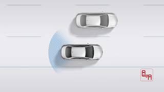 Blind spot monitoring (BSM)