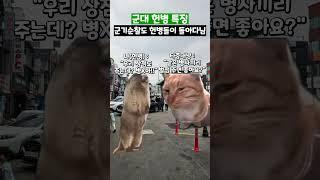 군대 헌병 특징 #shorts #군대