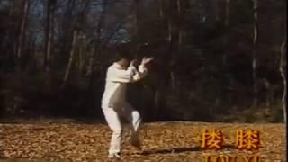 王西安 - 陳式太極拳 - 老架一路 - Wang Xi'an Chen-Style Taijiquan Laojia Yilu