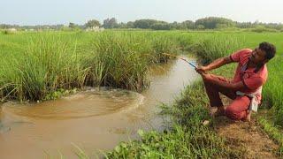 Fishing Video || Nice to see the incredible fishing scene of the village boy || Best hook fishing