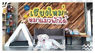 #เที่ยวกับแมม EP24 I โรงแรมหมาพักได้เชียงใหม่ (CC ENG) #ketawa
