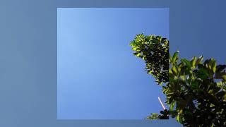 Lonely Ivy - Bubblegum Sunrise