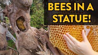 20k Bees Moved Into An Antique Statue