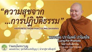 ความสุขจากการปฏิบัติธรรม Happiness from practicing Dhamma #หลวงพ่อปราโมทย์ #dhammatalk ณ 18 มิ.ย..65