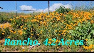  R A N C H O  de venta en Perris Ca.. 4.2 ACRES 