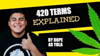 420 Terms Explained