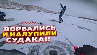 ВОТ ЭТО ОТКРЫЛИ СЕЗОН!!! Рыбалка на судака! Рыбалка на Дону! Судак на вибы! Судак 2024!