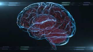 brain and neurons Free HD Stock Footage  6