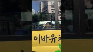 5살 첫등원