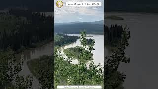 ScienceMan Moment of Zen 0466 #peaceful #river #nature #beautiful #stream #asmr
