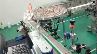 Ten bottle Carton Packing Machine