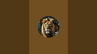 Animals Rk  is live!